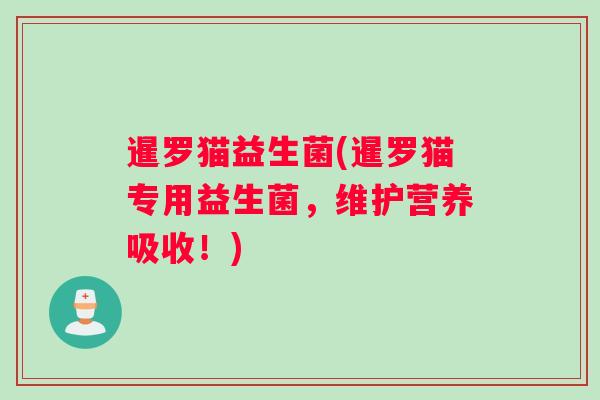暹罗猫益生菌(暹罗猫专用益生菌,维护营养吸收!) 暹罗猫益生菌(暹罗猫专用益生菌,维护营养吸收!)