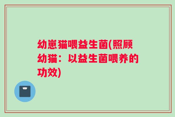 幼崽猫喂益生菌(照顾幼猫：以益生菌喂养的功效)