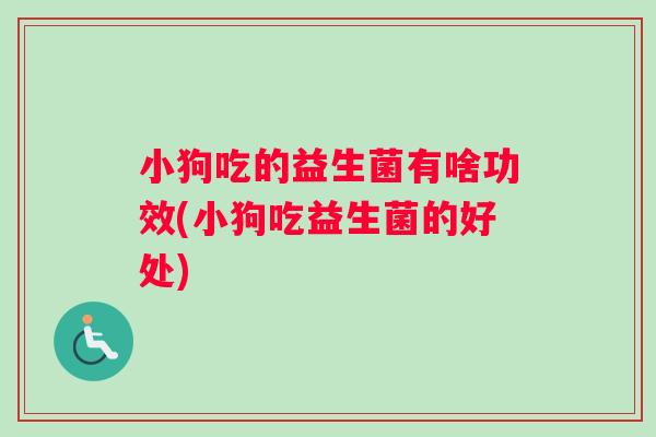 小狗吃的益生菌有啥功效(小狗吃益生菌的好处)