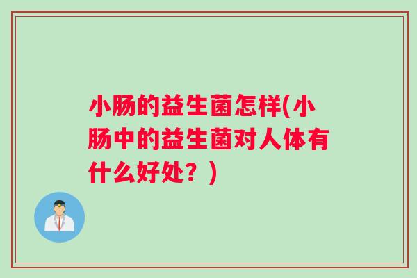 小肠的益生菌怎样(小肠中的益生菌对人体有什么好处？)