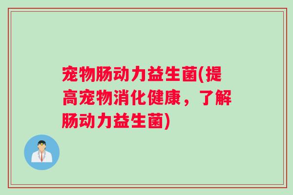 宠物肠动力益生菌(提高宠物消化健康,了解肠动力益生菌) 宠物肠动力益生菌(提高宠物消化健康,了解肠动力益生菌)