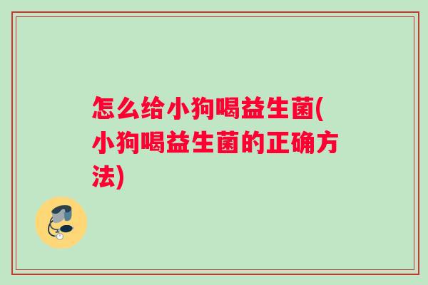 怎么给小狗喝益生菌(小狗喝益生菌的正确方法)