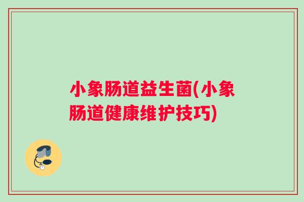 小象肠道益生菌(小象肠道健康维护技巧)
