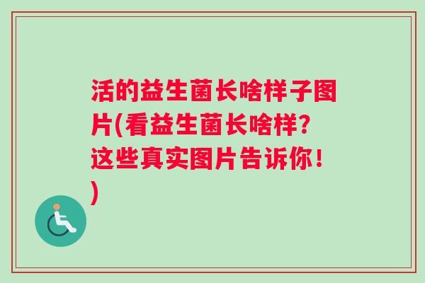 活的益生菌长啥样子图片(看益生菌长啥样？这些真实图片告诉你！)