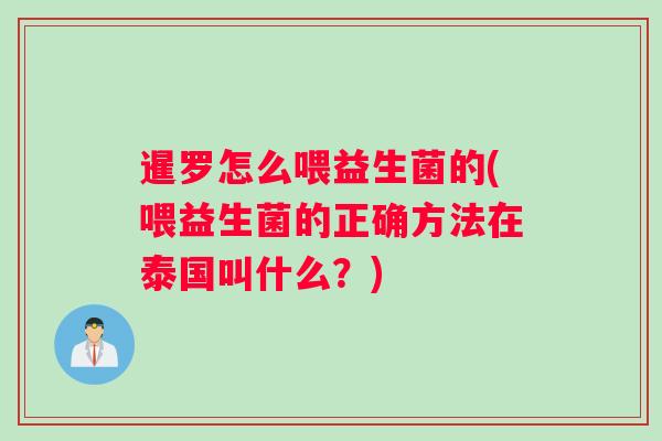暹罗怎么喂益生菌的(喂益生菌的正确方法在泰国叫什么？)