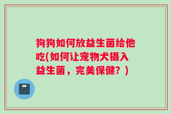 狗狗如何放益生菌给他吃(如何让宠物犬摄入益生菌，完美保健？)