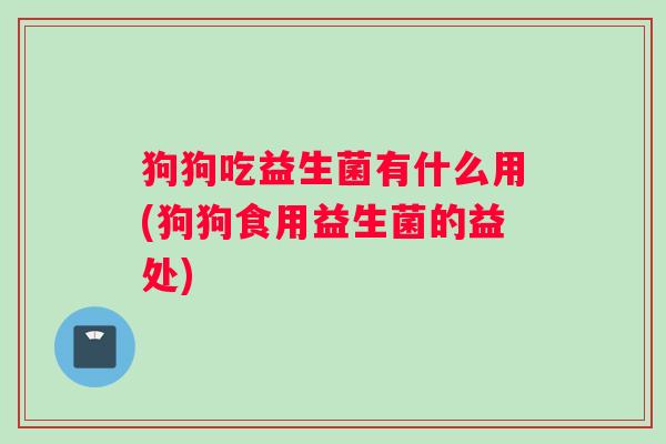 狗狗吃益生菌有什么用(狗狗食用益生菌的益处)