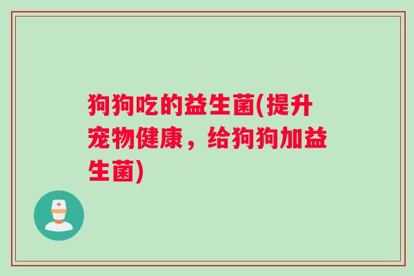 狗狗吃的益生菌(提升宠物健康，给狗狗加益生菌)