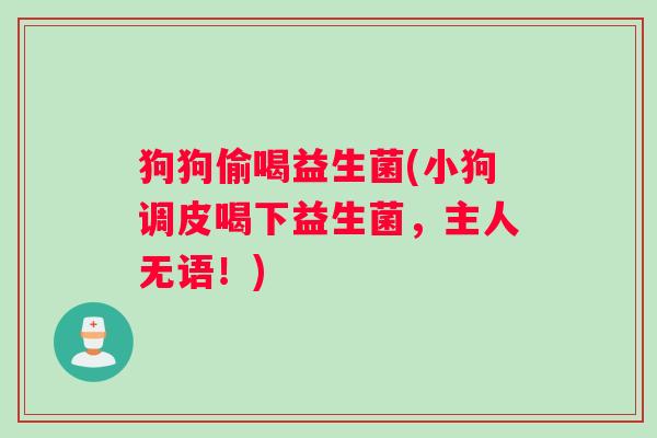 狗狗偷喝益生菌(小狗调皮喝下益生菌,主人无语!) 狗狗偷喝益生菌(小狗调皮喝下益生菌,主人无语!)