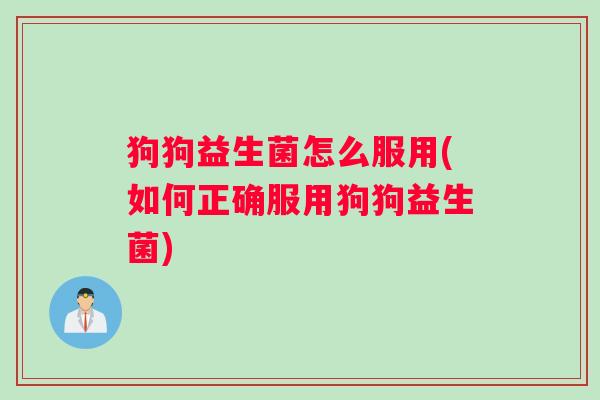 狗狗益生菌怎么服用(如何正确服用狗狗益生菌)