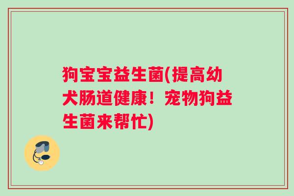 狗宝宝益生菌(提高幼犬肠道健康！宠物狗益生菌来帮忙)