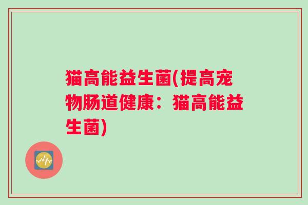 猫高能益生菌(提高宠物肠道健康：猫高能益生菌)