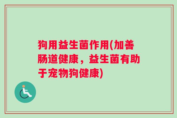 狗用益生菌作用(加善肠道健康，益生菌有助于宠物狗健康)