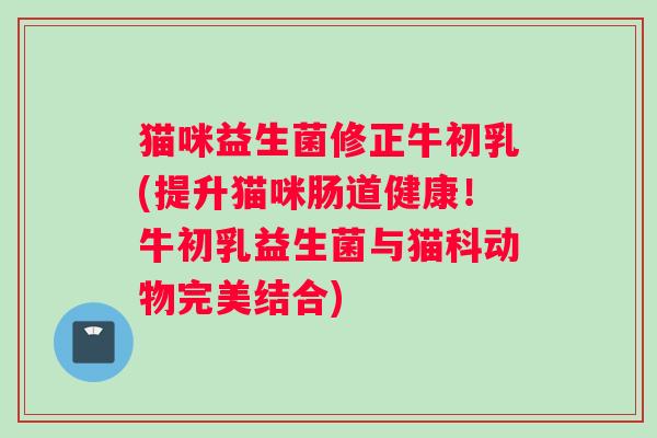 猫咪益生菌修正牛初乳(提升猫咪肠道健康!牛初乳益生菌与猫科动物完美结合) 猫咪益生菌修正牛初乳(提升猫咪肠道健康!牛初乳益生菌与猫科动物完美结合)