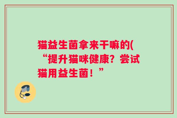 猫益生菌拿来干嘛的(“提升猫咪健康？尝试猫用益生菌！”