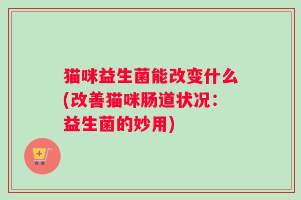 猫咪益生菌能改变什么(改善猫咪肠道状况：益生菌的妙用)