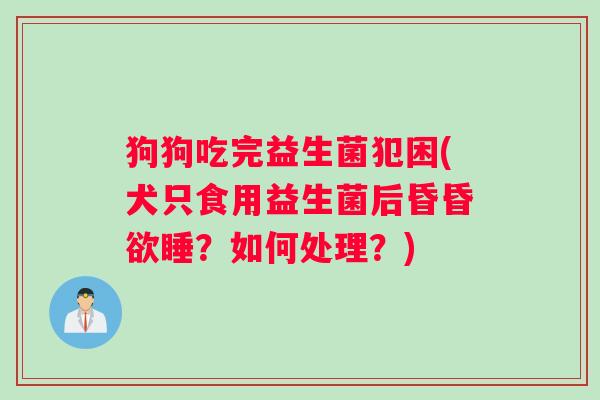 狗狗吃完益生菌犯困(犬只食用益生菌后昏昏欲睡？如何处理？)
