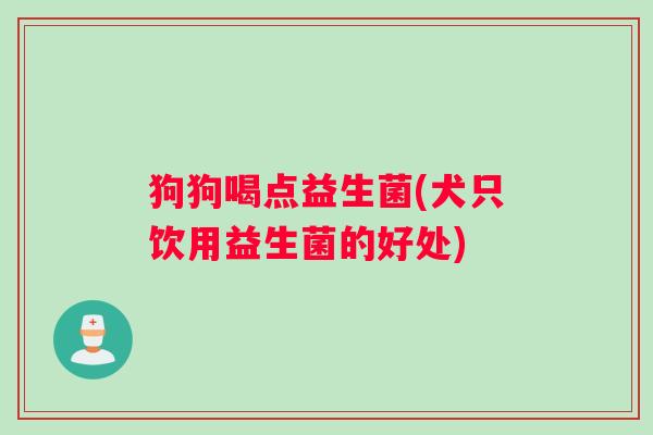 狗狗喝点益生菌(犬只饮用益生菌的好处) 狗狗喝点益生菌(犬只饮用益生菌的好处)