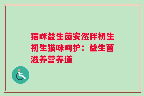 猫咪益生菌安然伴初生初生猫咪呵护:益生菌滋养营养道 猫咪益生菌安然伴初生初生猫咪呵护:益生菌滋养营养道