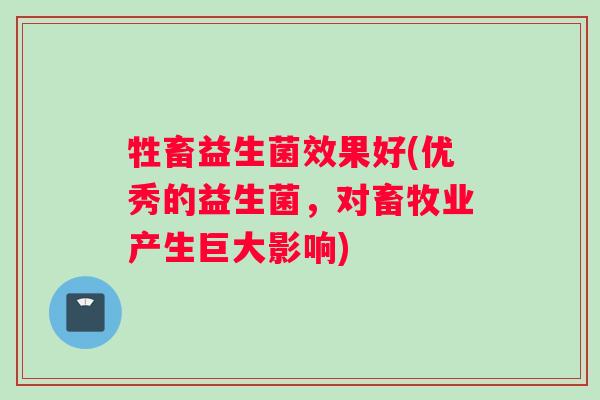 牲畜益生菌效果好(优秀的益生菌,对畜牧业产生巨大影响) 牲畜益生菌效果好(优秀的益生菌,对畜牧业产生巨大影响)