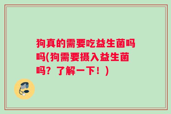 狗真的需要吃益生菌吗吗(狗需要摄入益生菌吗？了解一下！)