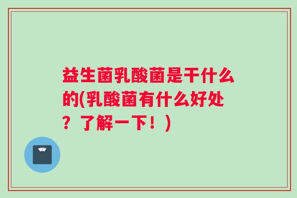 益生菌乳酸菌是干什么的(乳酸菌有什么好处？了解一下！)