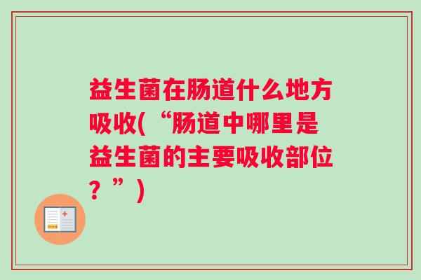 益生菌在肠道什么地方吸收(“肠道中哪里是益生菌的主要吸收部位？”)