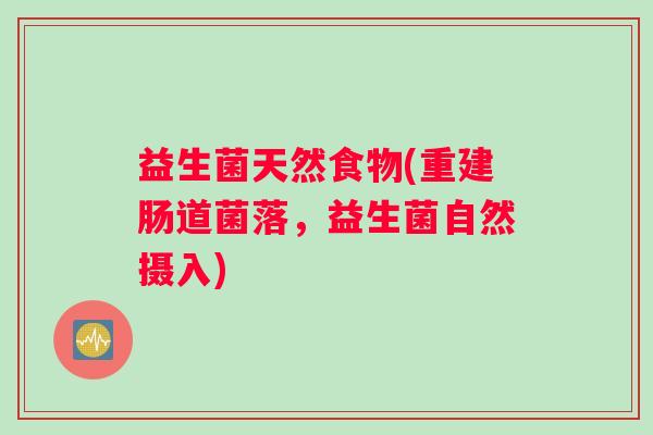 益生菌天然食物(重建肠道菌落，益生菌自然摄入)