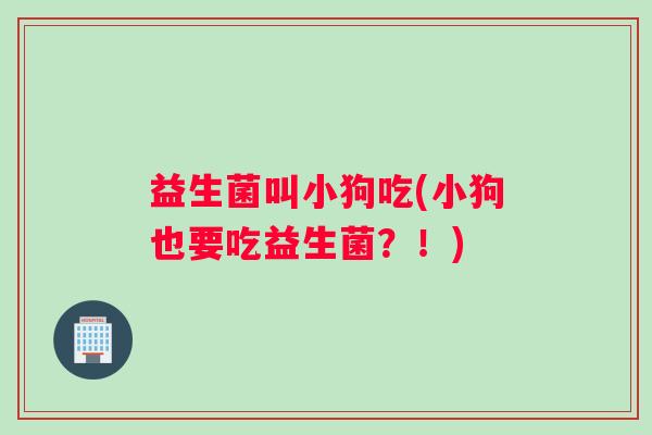 益生菌叫小狗吃(小狗也要吃益生菌？！)
