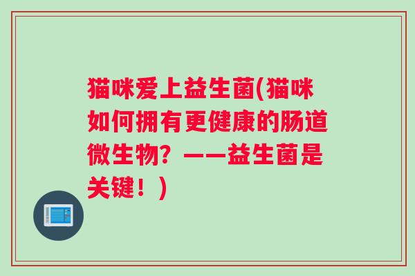 猫咪爱上益生菌(猫咪如何拥有更健康的肠道微生物?——益生菌是关键!) 猫咪爱上益生菌(猫咪如何拥有更健康的肠道微生物?——益生菌是关键!)