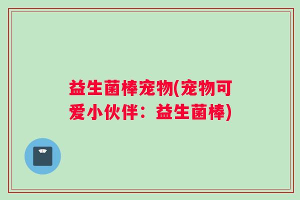 益生菌棒宠物(宠物可爱小伙伴：益生菌棒)