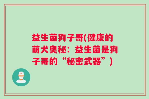 益生菌狗子哥(健康的萌犬奥秘：益生菌是狗子哥的“秘密武器”)