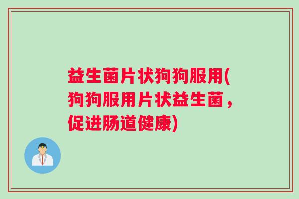 益生菌片状狗狗服用(狗狗服用片状益生菌,促进肠道健康) 益生菌片状狗狗服用(狗狗服用片状益生菌,促进肠道健康)