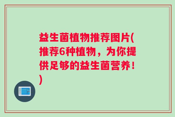 益生菌植物推荐图片(推荐6种植物，为你提供足够的益生菌营养！)