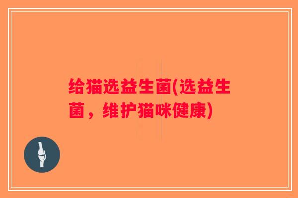 给猫选益生菌(选益生菌，维护猫咪健康)