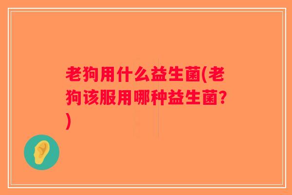 老狗用什么益生菌(老狗该服用哪种益生菌？)