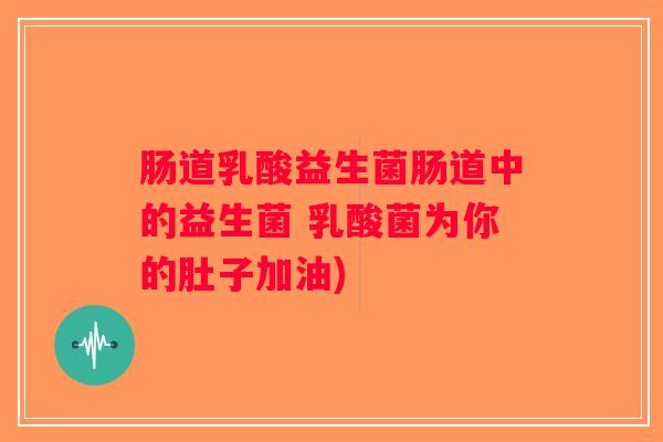 肠道乳酸益生菌肠道中的益生菌 乳酸菌为你的肚子加油)