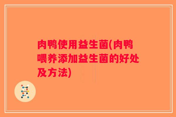 肉鸭使用益生菌(肉鸭喂养添加益生菌的好处及方法)