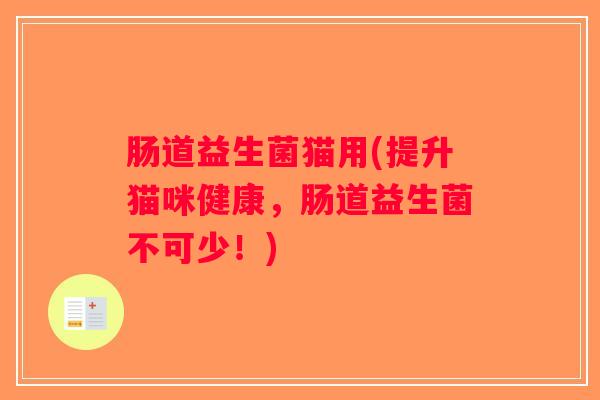 肠道益生菌猫用(提升猫咪健康，肠道益生菌不可少！)