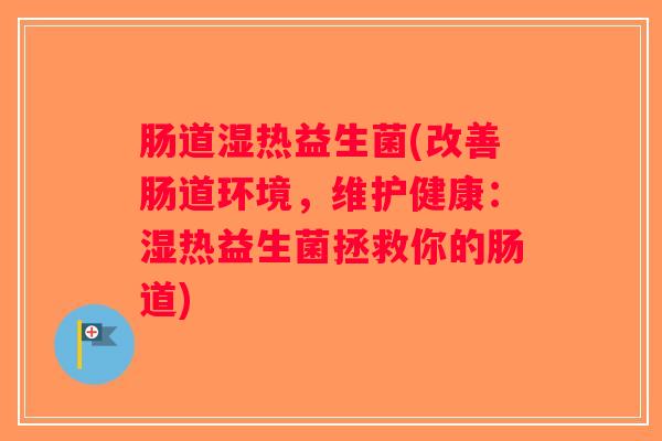 肠道湿热益生菌(改善肠道环境，维护健康：湿热益生菌拯救你的肠道)