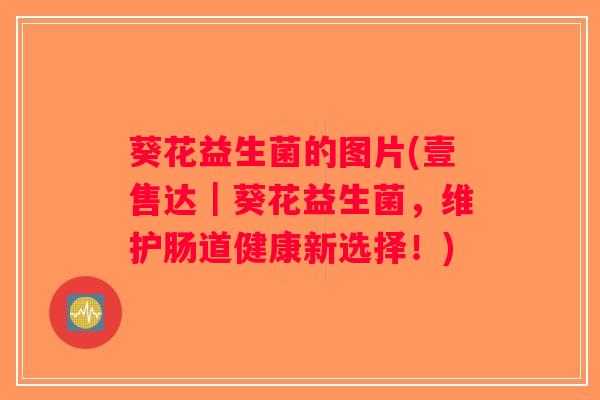 葵花益生菌的图片(壹售达｜葵花益生菌，维护肠道健康新选择！)