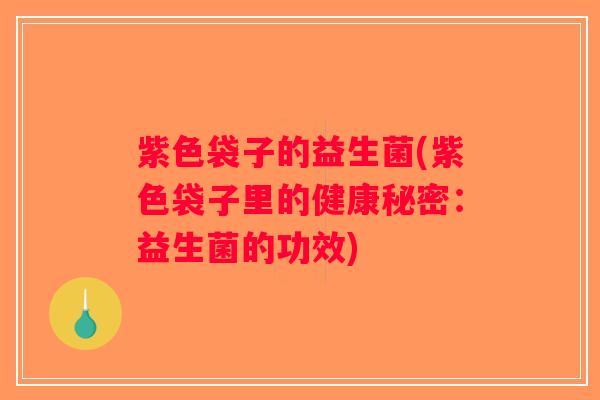 紫色袋子的益生菌(紫色袋子里的健康秘密：益生菌的功效)