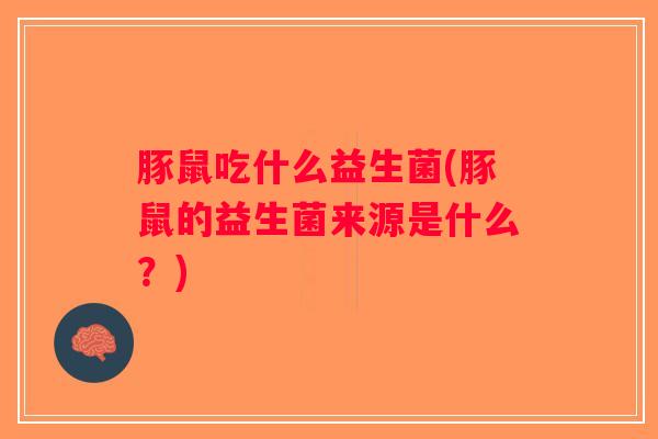 豚鼠吃什么益生菌(豚鼠的益生菌来源是什么？)