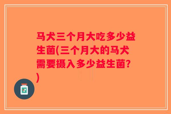 马犬三个月大吃多少益生菌(三个月大的马犬需要摄入多少益生菌?) 马犬三个月大吃多少益生菌(三个月大的马犬需要摄入多少益生菌?)