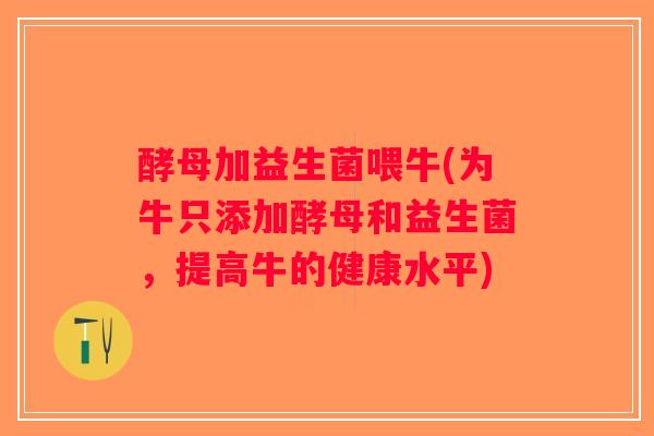 酵母加益生菌喂牛(为牛只添加酵母和益生菌，提高牛的健康水平)
