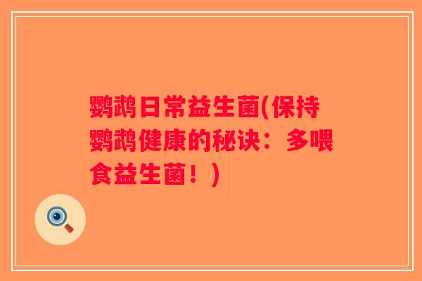 鹦鹉日常益生菌(保持鹦鹉健康的秘诀：多喂食益生菌！)