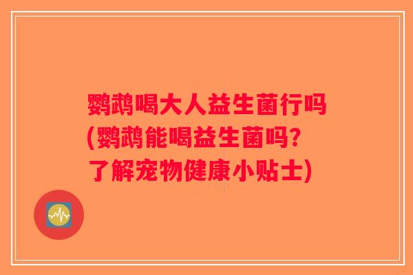 鹦鹉喝大人益生菌行吗(鹦鹉能喝益生菌吗？了解宠物健康小贴士)
