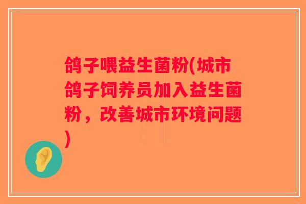 鸽子喂益生菌粉(城市鸽子饲养员加入益生菌粉，改善城市环境问题)