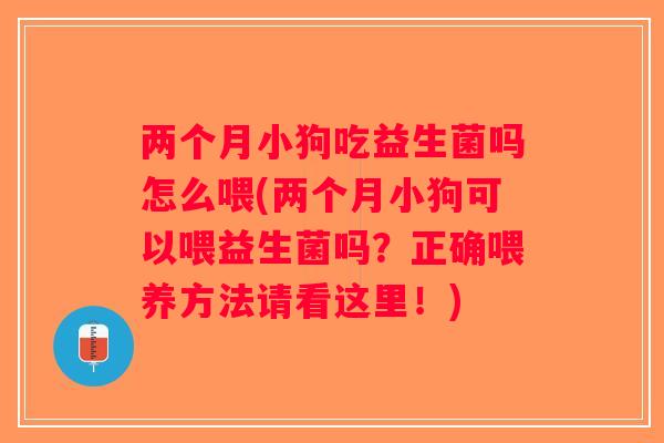 两个月小狗吃益生菌吗怎么喂(两个月小狗可以喂益生菌吗?正确喂养方法请看这里!) 两个月小狗吃益生菌吗怎么喂(两个月小狗可以喂益生菌吗?正确喂养方法请看这里!)