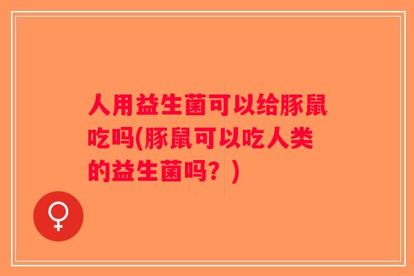 人用益生菌可以给豚鼠吃吗(豚鼠可以吃人类的益生菌吗？)